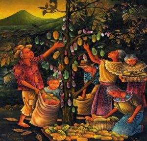 Read more about the article Cacaua şi ciocolata erau consumate încă de acum 4.000 de ani! O istorie incredibilă a arborelui de cacao