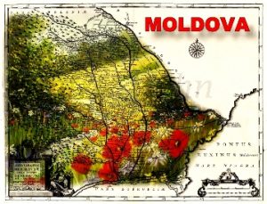Read more about the article Iată cum vedea Moldova anului 1739 un călător străin: „Un loc mai frumos n-am văzut niciodată! Câmpiile erau acoperite cu flori pretutindeni – călcam numai pe garoafe și lalele”
