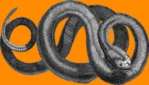 Read more about the article De ce apare atât de des simbolul şarpelui în misterioasele Tăbliţe de la Sinaia?
