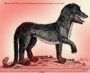 Read more about the article „Bestia din Gevaudan”: o creatură înfiorătoare care a provocat panică în Franţa anilor 1760
